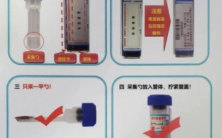 野趣微观采集，野外捡拾标本需要遵守的规则