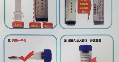 野趣微观采集，野外捡拾标本需要遵守的规则
