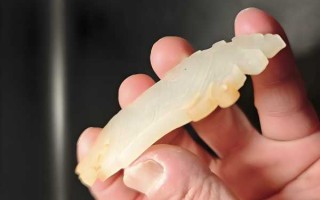 古玉凤鸟佩：殷商玉韵，千古灵禽
