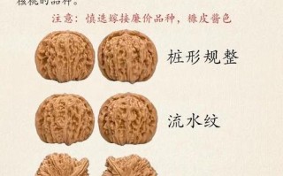 文玩核桃收藏理性看待，不必盲目追天价核桃