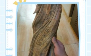 木器收藏避坑，仿古做旧常见手段解析