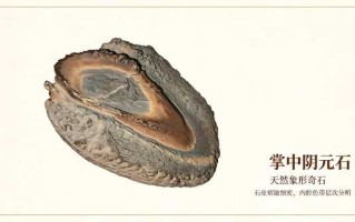掌中天然阴元石：藏于方寸间的天地玄牝