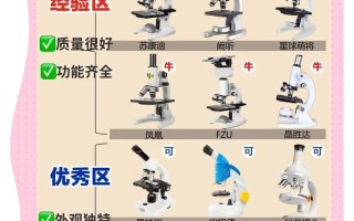 野趣微观器材，入门级放大镜与显微镜选择