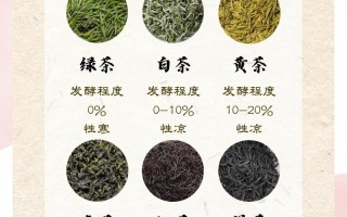 不同品类茶叶品鉴要点，香气滋味怎么分辨