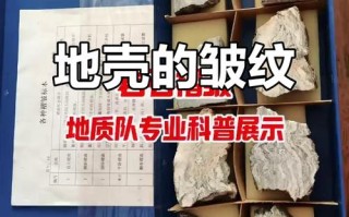 挑选皱纹石，分辨天然褶皱和人工雕刻皱纹石