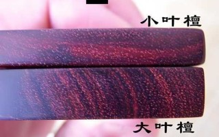 紫檀木鉴定：我在木头里看见的岁月与人心