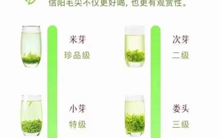 茶叶品鉴入门，新手学会分辨茶叶品质好坏
