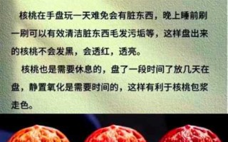 文玩核桃开裂预防，温差和干燥是最大杀手