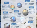  月光石家族完整鉴赏指南｜灰月光·蓝月光·白月光辨别与养护