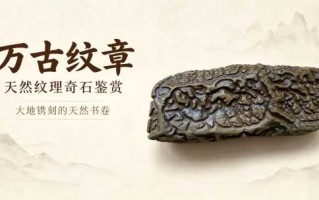 纹路奇石《万古纹章》：大地镌刻的天然书卷