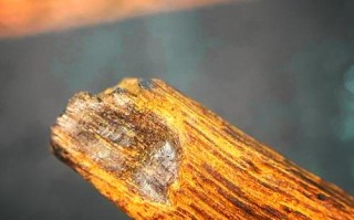 富森红土沉香产地环境，土层埋藏形成独特红土香韵