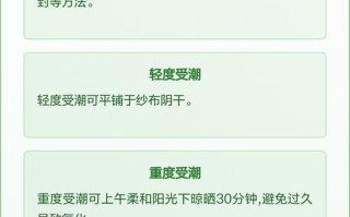 存放不当毁掉好茶，茶叶储存防潮避光实操方法
