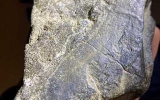 集市淘皱纹石，从皮壳质感判断皱纹石新旧