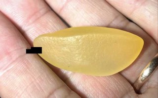 戈壁遗珍，流光凝黄——金丝玉黄宝石光原石品鉴