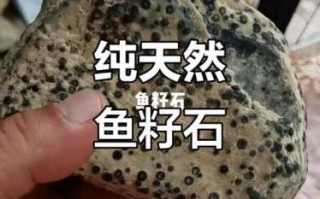 鱼子石收藏科普，看懂鱼子石的天然颗粒特征