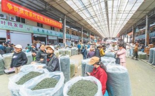 线下集市选购茶叶，避开做旧陈茶的套路