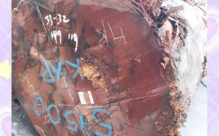 红椿阴沉木产地与特征，木料色泽及肌理识别要点