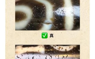 仿天珠常见工艺，染色蚀刻仿天珠基础辨别