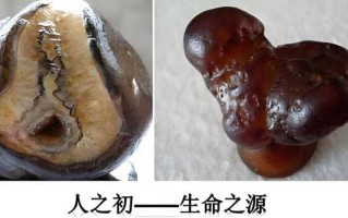 赏石千年：为何阳元象形奇石始终是藏家心头好