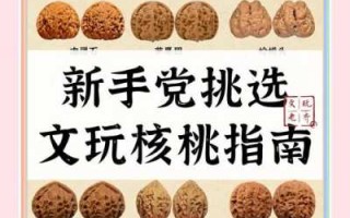 挑选文玩核桃看配对，一对好核桃看重尺寸纹路
