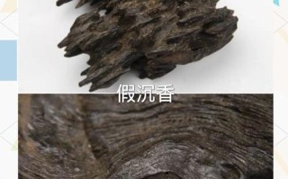 阴沉木产地鉴别技巧，通过材色密度反推埋藏水域环境