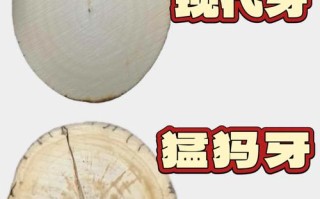 牙角雕工辨年代，古法制刀与现代机雕差异
