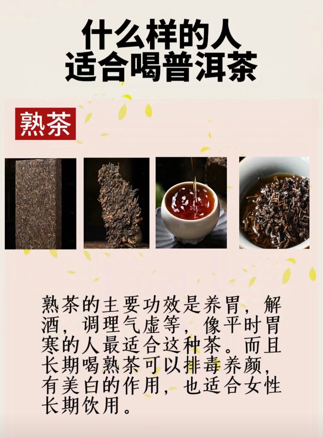 生普、熟普冲泡区别（简单实用，减肥喝茶专用）