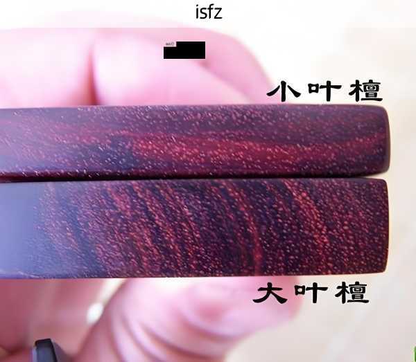 紫檀木鉴定：我在木头里看见的岁月与人心