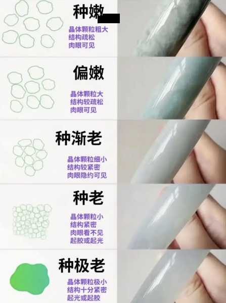 翡翠品质完整判断体系（收藏级通用：种、水、色、工、瑕疵、重量六大维度，适配古玩老翡翠+现代新翠）