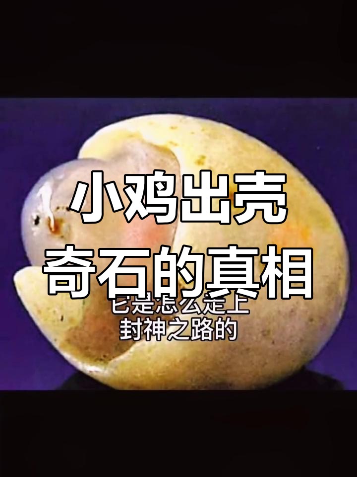 天然基底与人工巧工——从鉴石标准重新定义小鸡出壳的收藏属性