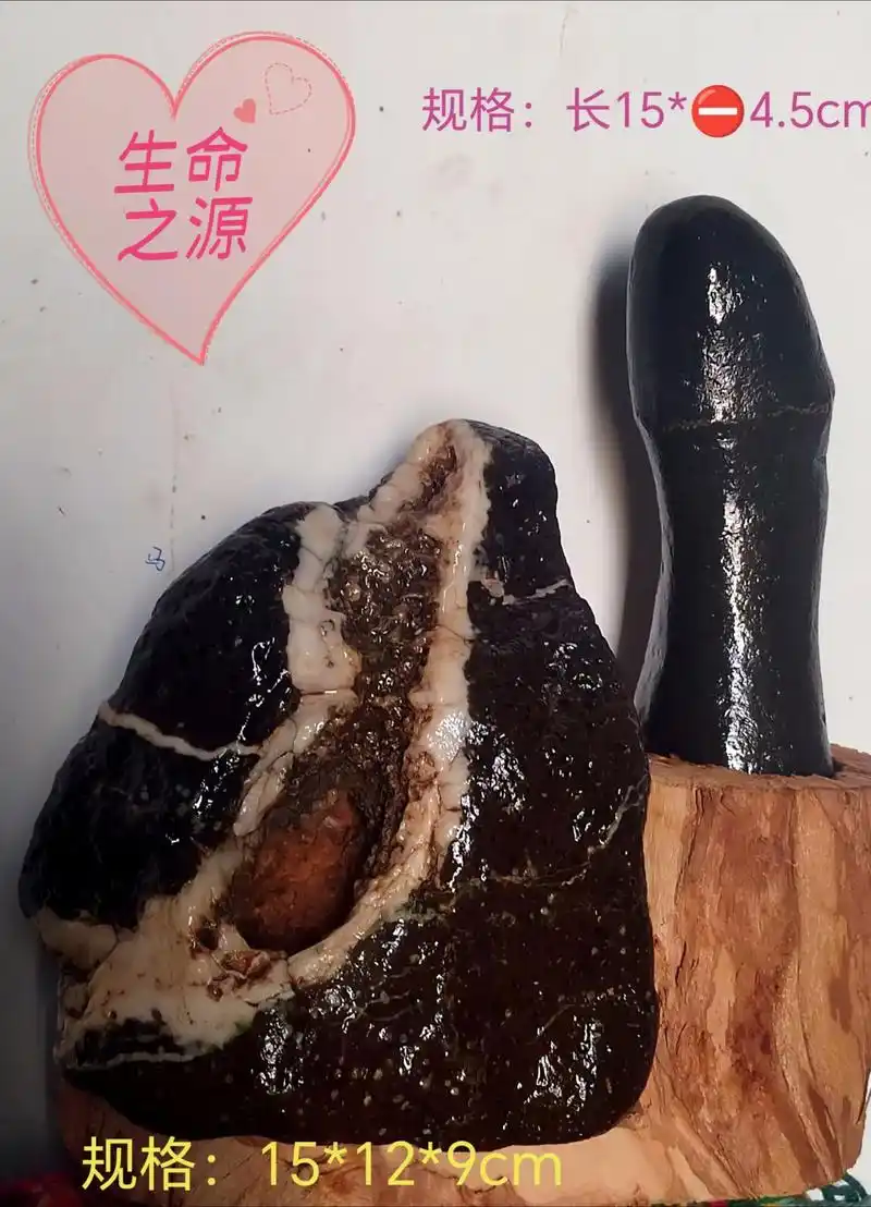 山河作砚，顽石成珍：小众阴阳象形奇石收藏赏析