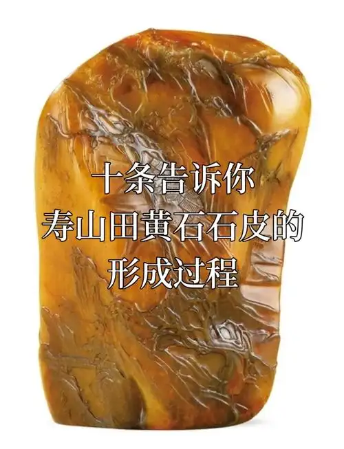 寿山石综合鉴定、新旧辨别与收藏价值体系