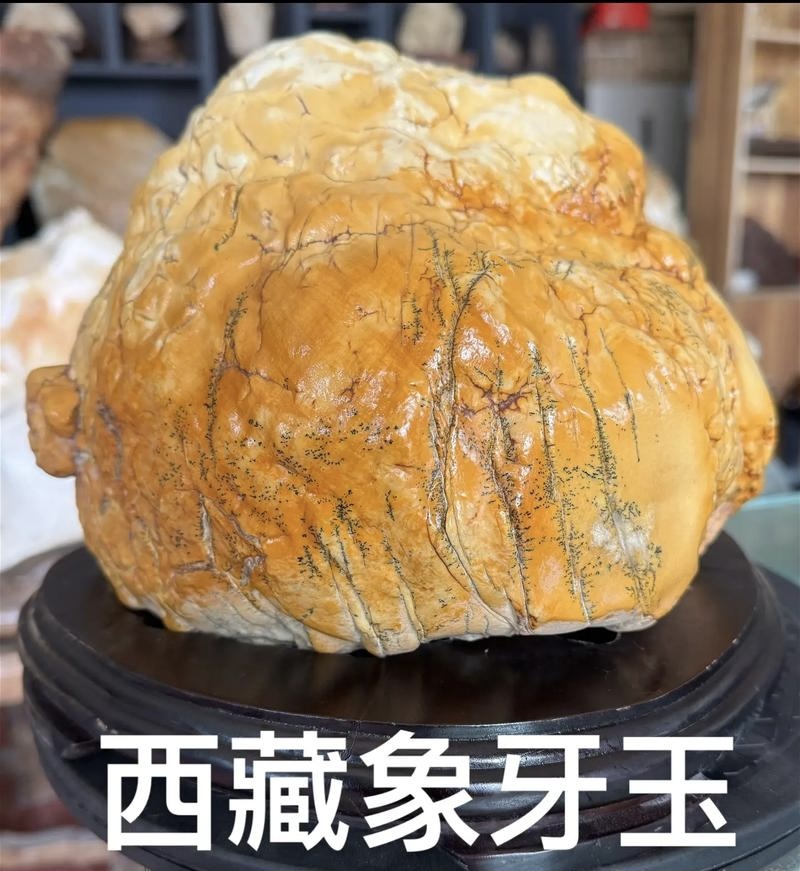 什么奇石值得传世？高玉化天然象形原石推荐