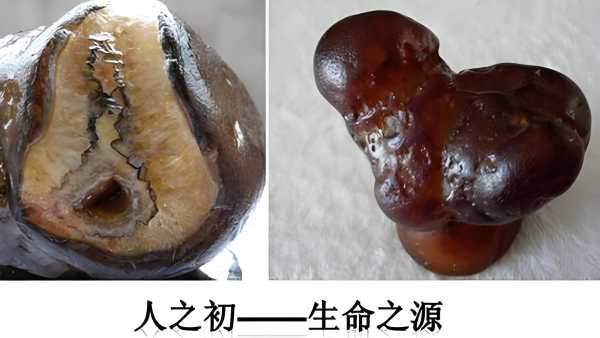 赏石千年：为何阳元象形奇石始终是藏家心头好