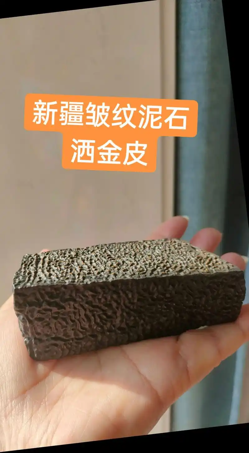 泥石“千层纹”美学鉴赏｜戈壁亿年沉积地层的天然画卷