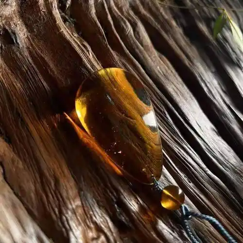  众珀之长，玄黑藏丹——翳珀的古今文脉与天生神韵