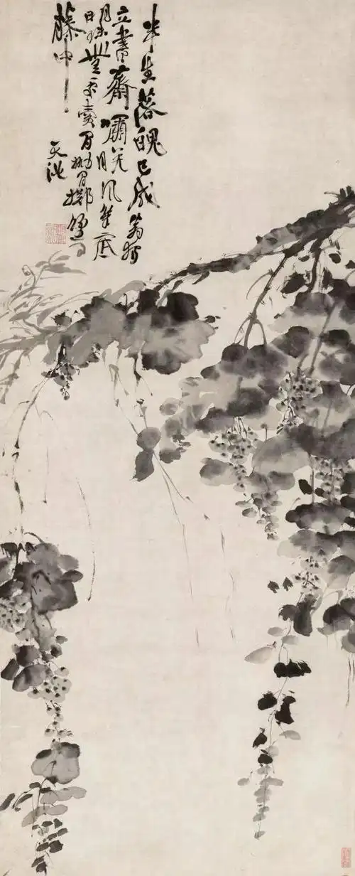 徐渭《墨葡萄图》鉴赏（明大写意）