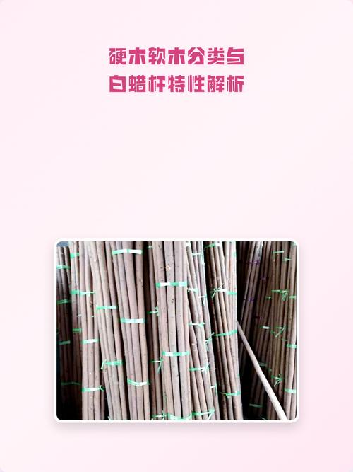 硬木软木鉴别,读懂木材纹理的鉴定逻辑 硬木软木鉴别,读懂木材纹理的鉴定逻辑