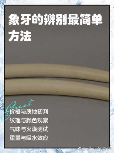 牙角纹理深度鉴别,天然纹路与人工仿纹区分 牙角纹理深度鉴别,天然纹路与人工仿纹区分