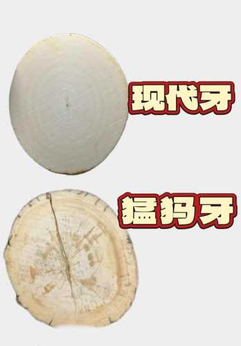 牙角雕工辨年代,古法制刀与现代机雕差异 牙角雕工辨年代,古法制刀与现代机雕差异
