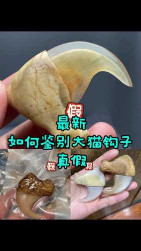 牙角高仿造假揭秘,市面常见仿造套路详解 牙角高仿造假揭秘,市面常见仿造套路详解