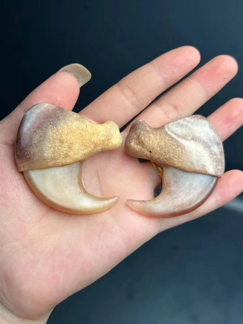 牙角器物风化辨析，自然老化与人为做残区别