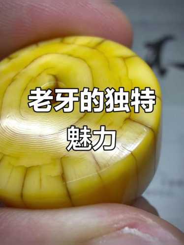 牙角老件品相评判,瑕疵与岁月痕迹区分要点 牙角老件品相评判,瑕疵与岁月痕迹区分要点