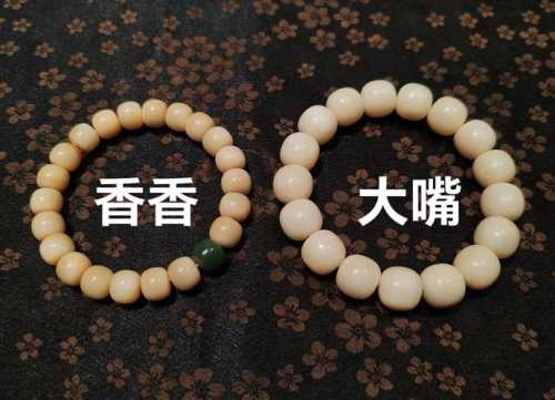 角类与牙类材质区分，新手收藏入门知识点