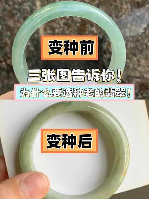 老翡翠沁色识别,自然岁月沁染与人工做旧区别 老翡翠沁色识别,自然岁月沁染与人工做旧区别