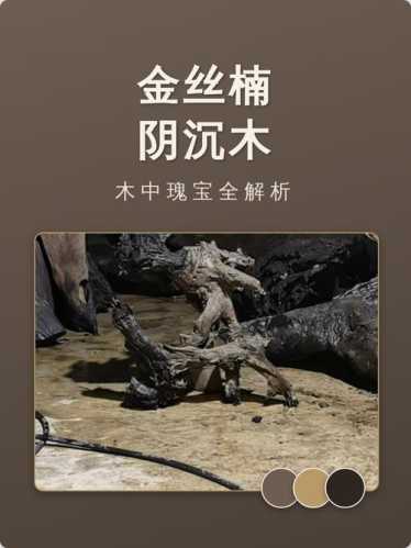 金丝楠木性解读,冬暖夏凉不易变形的天然优势 金丝楠木性解读,冬暖夏凉不易变形的天然优势