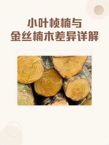 金丝楠木核心产地解析,桢楠料不同产区材质差异对比 金丝楠木核心产地解析,桢楠料不同产区材质差异对比