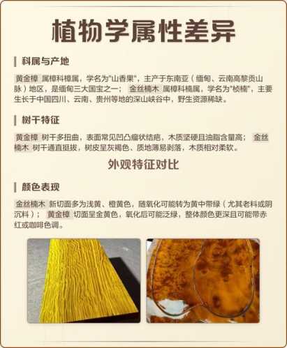 金丝楠木核心产地解析,桢楠料不同产区材质差异对比 金丝楠木核心产地解析,桢楠料不同产区材质差异对比