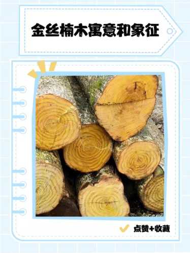 金丝楠耐腐防虫特性,千年不腐的木材内在机理 金丝楠耐腐防虫特性,千年不腐的木材内在机理
