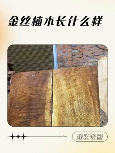 金丝楠产地与品相关系,环境如何影响金丝成型 金丝楠产地与品相关系,环境如何影响金丝成型